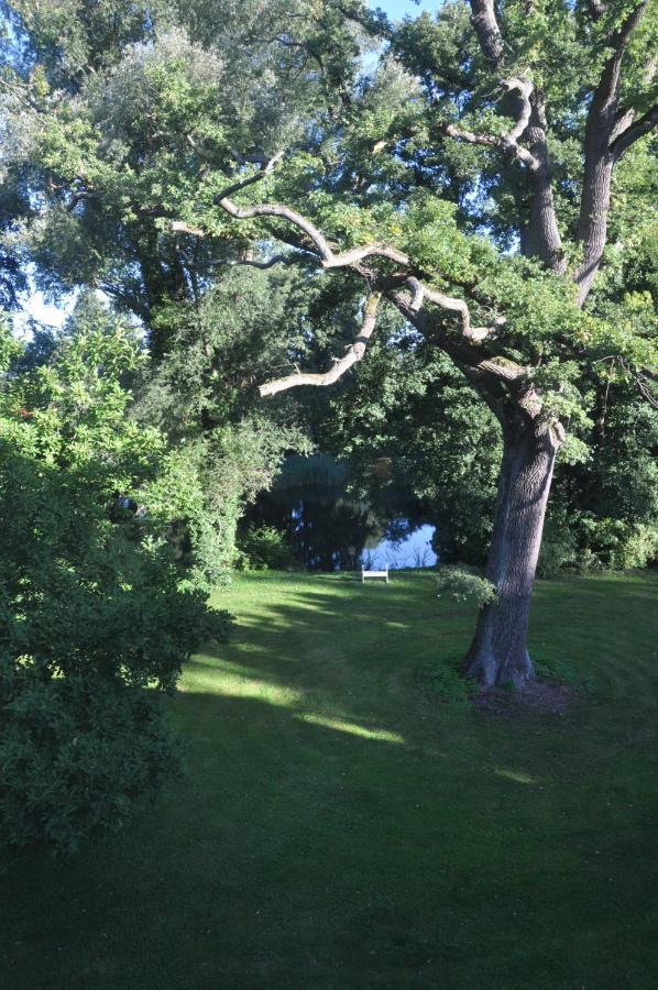 Gartenzimmer Im Schloss Neuhausen Neuhausen  Eksteriør bilde