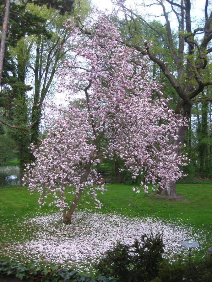 Gartenzimmer Im Schloss Neuhausen Neuhausen  Eksteriør bilde