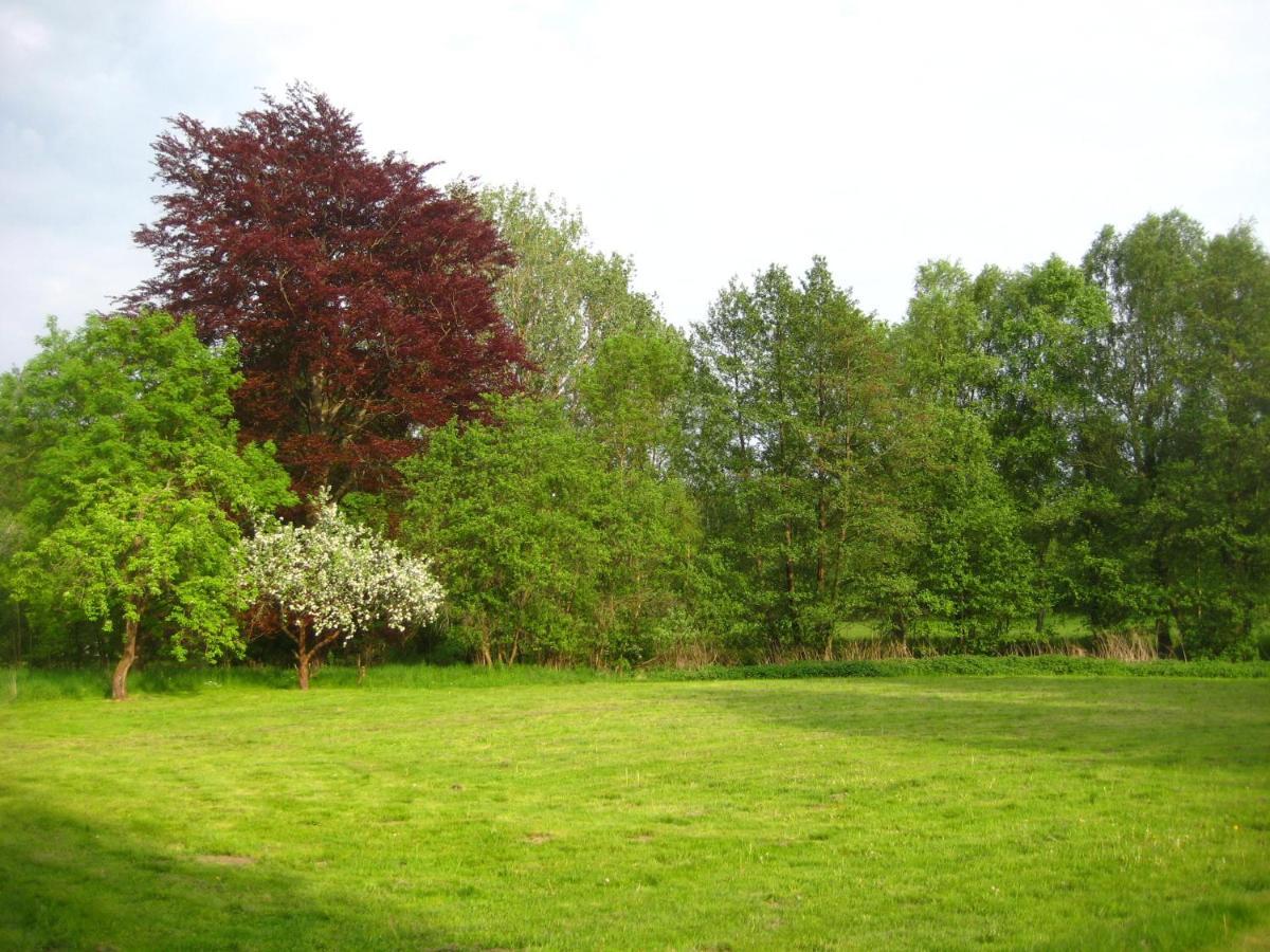 Gartenzimmer Im Schloss Neuhausen Neuhausen  Eksteriør bilde