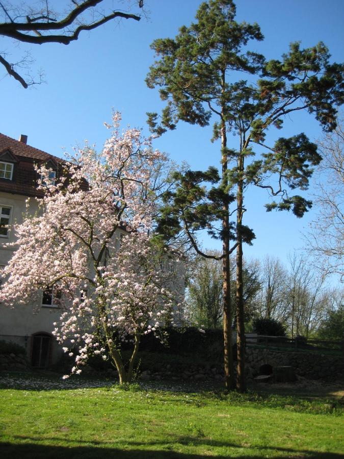 Gartenzimmer Im Schloss Neuhausen Neuhausen  Eksteriør bilde
